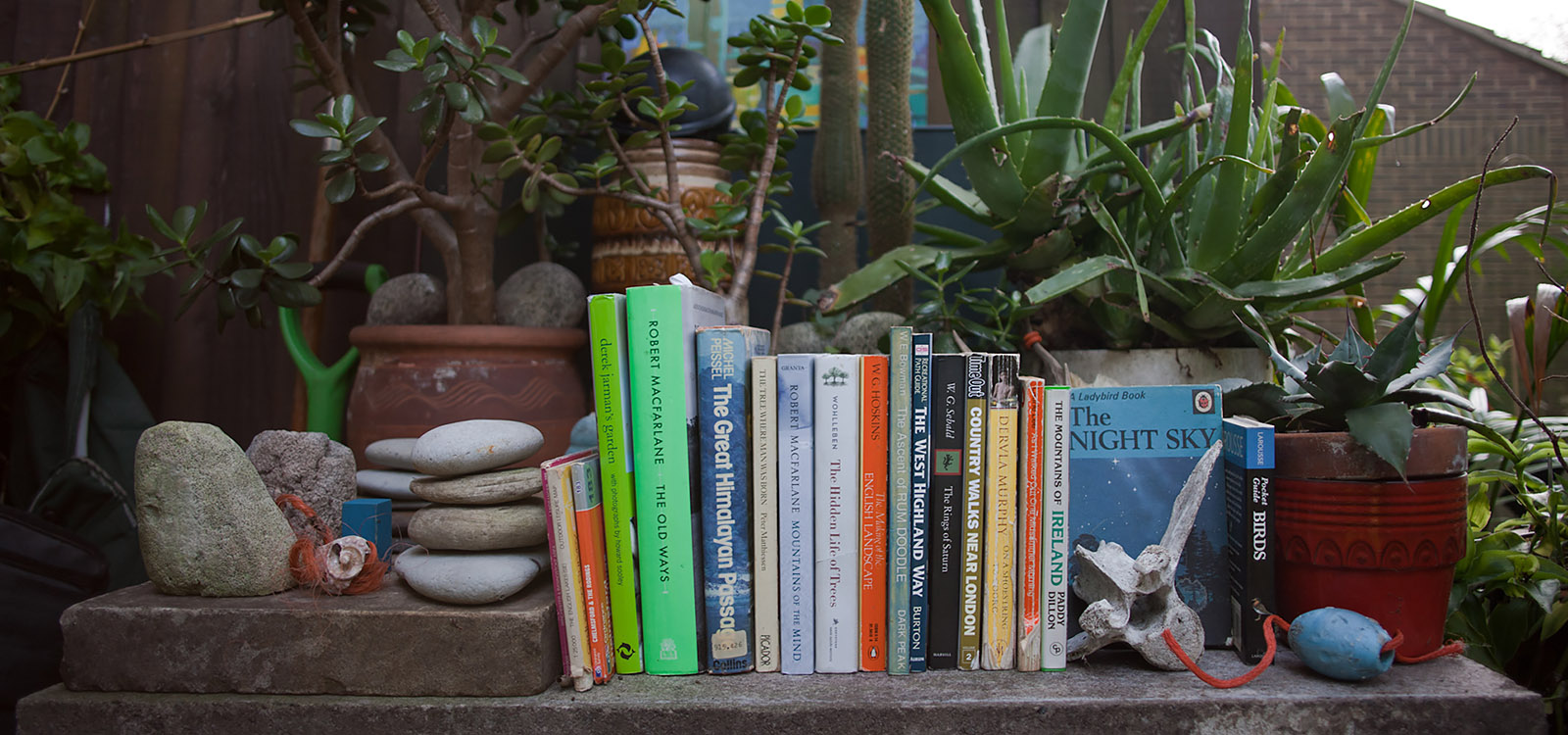 books on a concrete table surrounded by plants and detritus found in the hills and on beaches